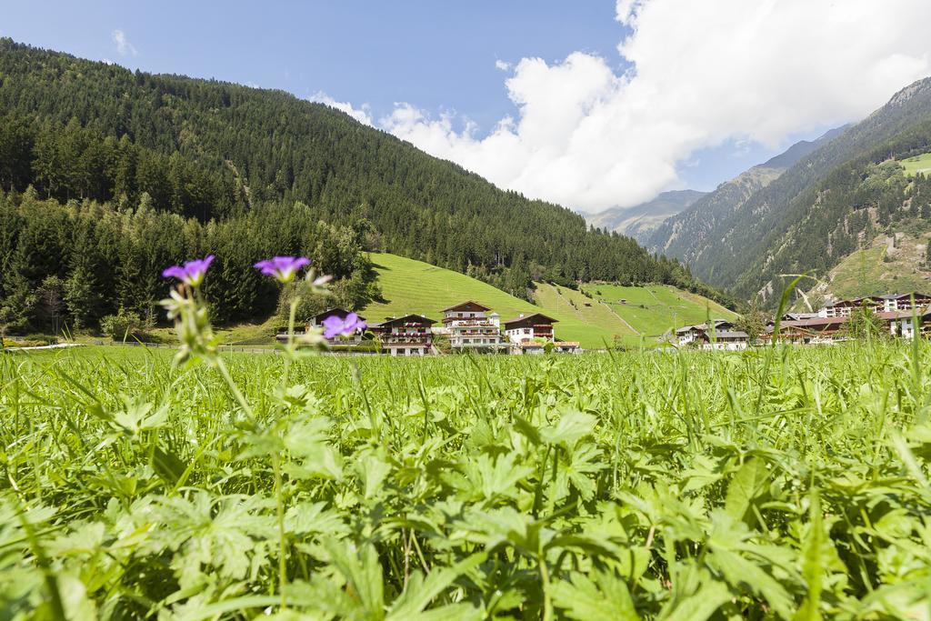 Gästehaus Kartnaller Neustift im Stubaital Exterior foto